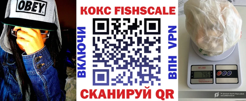 Кокаин FishScale  Купить где  Рассказово 
