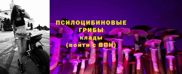 бошки Елабуга