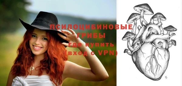 бошки Елабуга