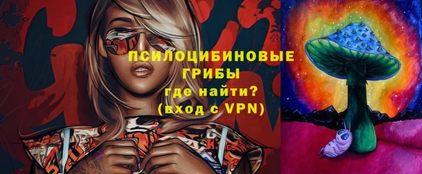 метадон Ельня