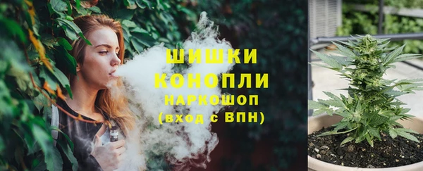 метадон Ельня