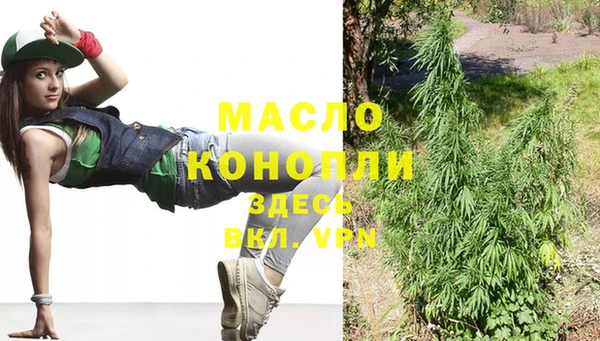 метадон Ельня