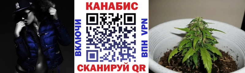 Купить закладки  Рассказово  Бошки марихуана тримм 
